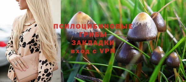 дурь Нягань